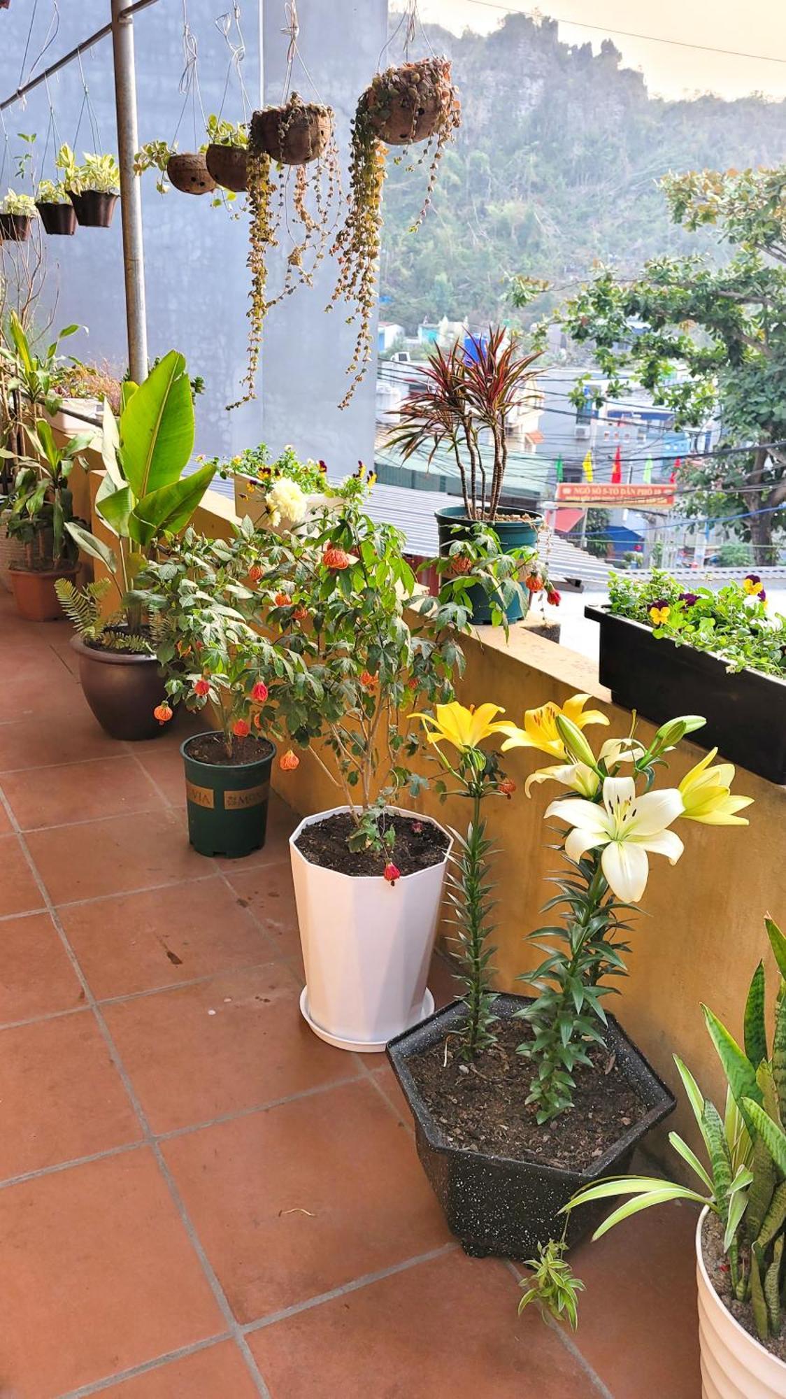 Tiny Garden House Cat Ba Hotel Chan Chau Exterior foto